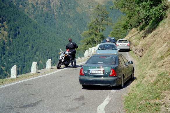 Sepp beim Fotoshooting - nur diese b&ouml;sen Autos