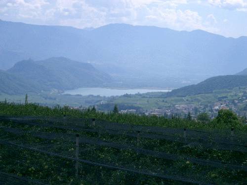Panoramablick zum Kalterer See